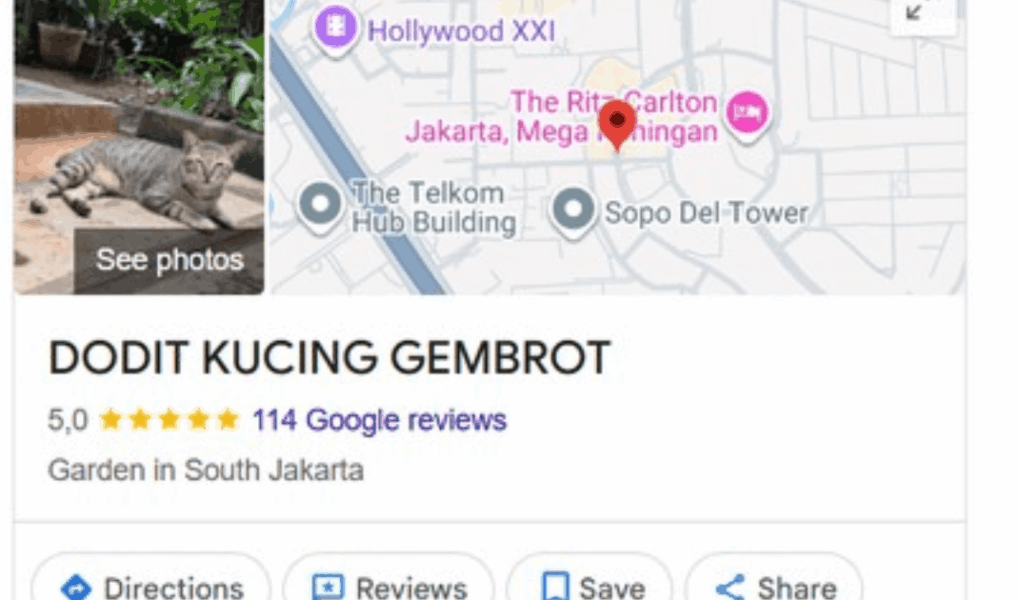 Titik Dodit Google Maps