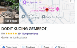 Titik Dodit Google Maps