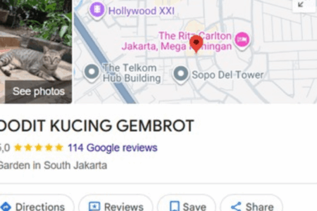 Titik Dodit Google Maps