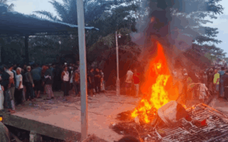 Polisi Palak Emak-Emak Viral