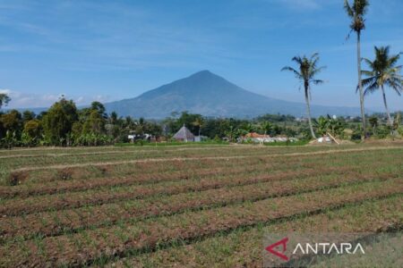 kekeringan sektor tanaman - ilustrasi artikel Pemerintah Kabupaten Garut Mitigasi Kekeringan Sektor Tanaman saat Kemarau