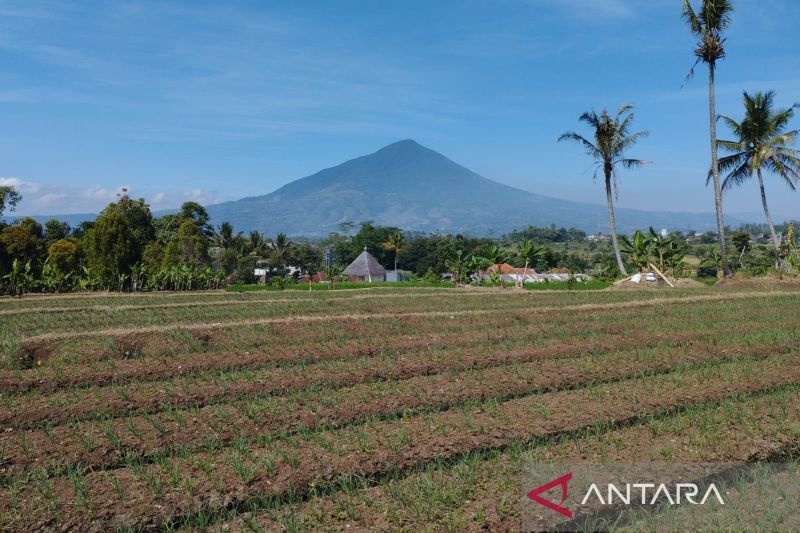 kekeringan sektor tanaman Kekeringan Sektor Tanaman: Mitigasi Garut Kemarau kekeringan sektor tanaman - ilustrasi artikel Pemerintah Kabupaten Garut Mitigasi Kekeringan Sektor Tanaman saat Kemarau