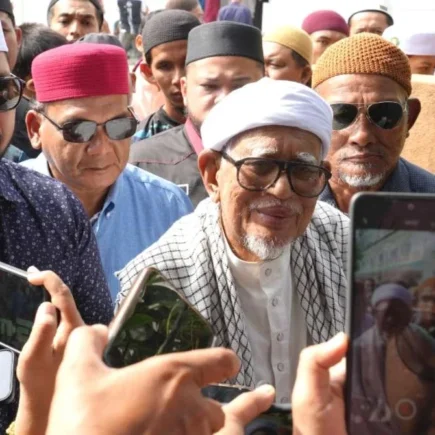 ketuanan melayu islam - ilustrasi artikel Ketuanan Melayu Islam antara PAS dan UMNO Saling Melengkapi