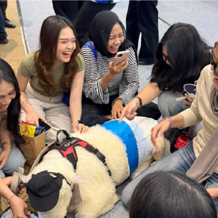 bekasi pet expo - ilustrasi berita Bekasi Pet Expo 2026 Satukan Komunitas Pencinta dan Pelaku Industri