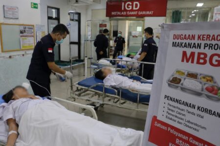 menu mbg - ilustrasi artikel Permintaan Teks Sumber untuk Penulisan Ulang Menu MBG