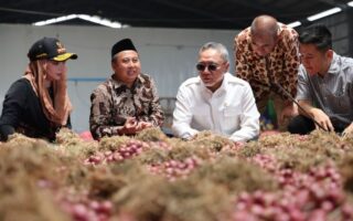 bawang merah brebes - ilustrasi berita Butuh Teks Lengkap: Pernyataan Menko Pangan soal Ekspor Bawang Merah Brebes ke…