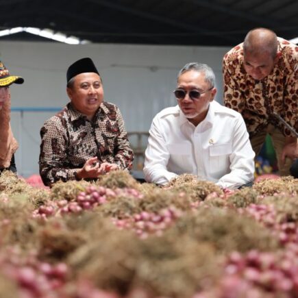 bawang merah brebes - ilustrasi berita Butuh Teks Lengkap: Pernyataan Menko Pangan soal Ekspor Bawang Merah Brebes ke…