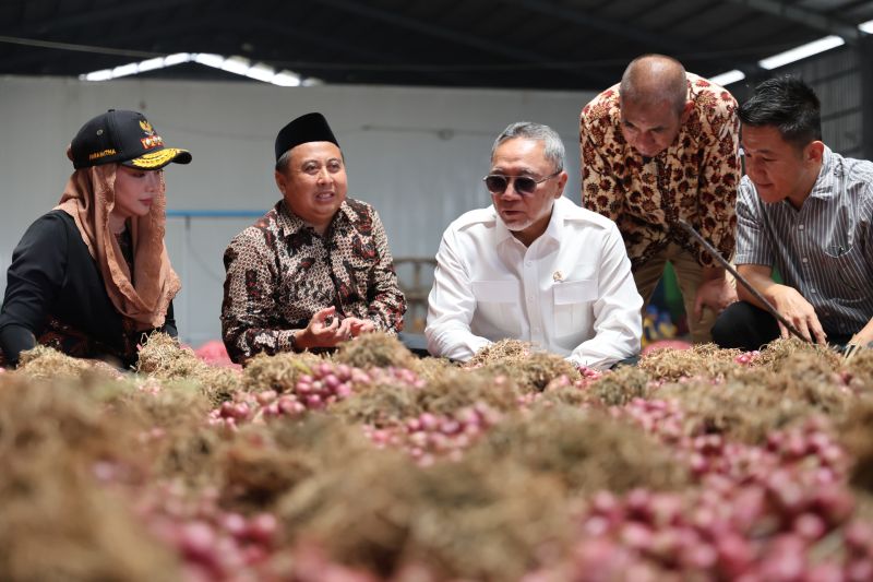 bawang merah brebes Menko Pangan: Ekspor ke Thailand perluas pasar bawang… bawang merah brebes - ilustrasi berita Menko Pangan: Ekspor ke Thailand perluas pasar bawang merah Brebes