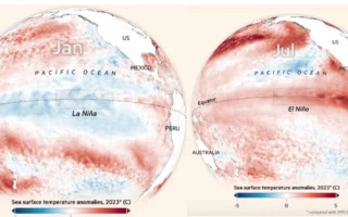 el nino mendidih - ilustrasi berita Ilmuwan PBB Ungkap El Nino mendidih Bakal Bertahan sampai 2027, Suhu Panas Lampaui…